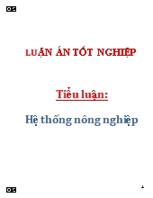 Tiểu luận Hệ thống nông nghiệp