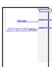 Tiểu luận Hệ thống quản lý chất lượng tại công ty BUREAU VERITAS CPS Việt Nam