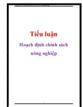 Tiểu luận Hoạch định chính sách nông nghiệp