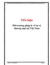 Tiểu luận Môi trường pháp lý về tự vệ thương mại tại Việt Nam