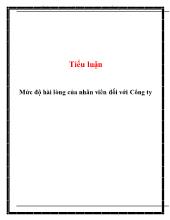 Tiểu luận Mức độ hài lòng của nhân viên đối với Công ty