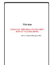 Tiểu luận Năng lực tiến hóa của tổ chức dân cư và cộng đồng
