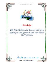Tiểu luận Nghiên cứu đa dạng di truyền nguồn gen liên quan đến tính chịu mặn ở lúa Việt Nam