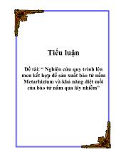 Tiểu luận Nghiên cứu quy trình lên men kết hợp để sản xuất bào tử nấm Metarhizium và khả năng diệt mối của bào tử nấm qua lây nhiễm