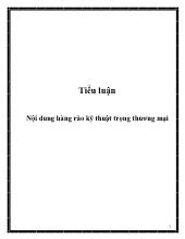 Tiểu luận Nội dung hàng rào kỹ thuật trọng thương mại