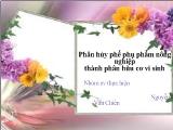 Tiểu luận Phân hủy phế phụ phẩm nông nghiệp thành phân hữu cơ vi sinh