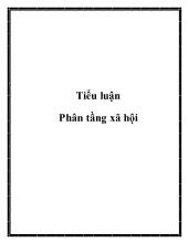 Tiểu luận Phân tầng xã hội