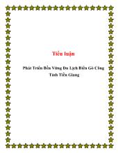 Tiểu luận Phát Triển Bền Vững Du Lịch Biển Gò Công Tỉnh Tiền Giang