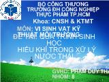 Tiểu luận Quá trình sinh học hiếu khí trong xữ lý nước thải