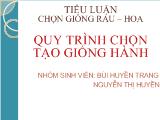 Tiểu luận Quy trình chọn tạo giống hành