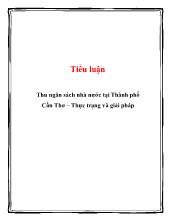 Tiểu luận Thu ngân sách nhà nước tại Thành phố Cần Thơ – Thực trạng và giải pháp