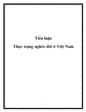 Tiểu luận Thực trạng nghèo đói ở Việt Nam