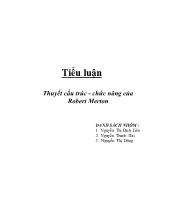 Tiểu luận Thuyết cấu trúc - Chức năng của Robert Merton