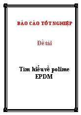 Tiểu luận Tìm hiểu về polime EPDM