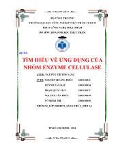 Tiểu luận Tìm hiểu về ứng dụng của nhóm enzyme cellulase