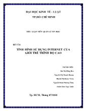 Tiểu luận Tình hình sử dụng internet của giới trẻ trình độ cao