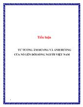 Tiểu luận Tư tưởng âm dương và ảnh hưởng của nó lên đời sống người Việt Nam