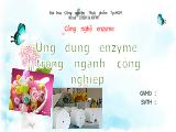 Tiểu luận Ứng dụng enzyme trong ngành công nghiệp