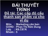 Bài thuyết trình Các cấp độ cấu thành sản phẩm và cho ví dụ