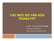 Bài thuyết trình Các mức độ văn hóa trong FPT