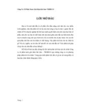 Đề tài Phân tích báo cáo tài chính công ty cổ phần nước giải khát Sài Gòn