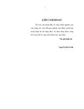 Luận án Các nhân tố ảnh hưởng đến hành vi người tiêu dùng đối với hoạt động Mobile Marketing tại khu vực nội thành Hà Nội