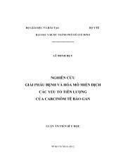 Luận án Nghiên cứu giải phẫu bệnh và hóa mô miễn dịch các yếu tố tiên lượng của carcinôm tế bào gan