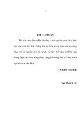 Luận án Tăng cường khả năng tự tạo việc làm cho thanh niên Việt Nam