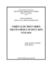 Tiểu luận Chiến lược phát triển truyền hình cáp HTVC đến năm 2015