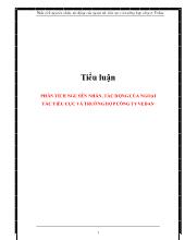 Tiểu luận Phân tích nguyên nhân, tác động của ngoại tác tiêu cực và trường hợp công ty vedan