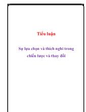 Tiểu luận Sự lựa chọn và thích nghi trong chiến lược và thay đổi