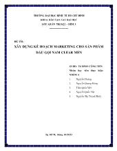 Tiểu luận Xây dựng kế hoạch marketing cho sản phẩm dầu gội nam Clear Men