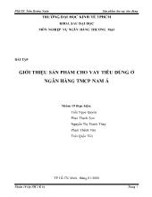Bài tập giới thiệu sản phẩm cho vay tiêu dùng ở ngân hàng thương mại cổ phần Nam Á