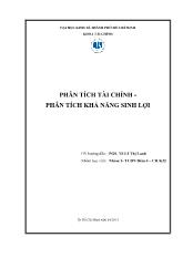 Bài thuyết trình Phân tích tài chính - Phân tích khả năng sinh lợi