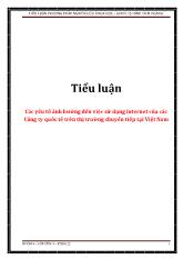 Đề tài Các yếu tố ảnh hưởng đến việc sử dụng internet của các Công ty quốc tế trên thị trường chuyển tiếp tại Việt Nam