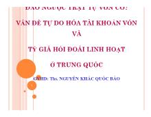 Đề tài Đảo ngược trật tự vốn có? Vấn đề tự do hóa tài khoản vốn và tỷ giá hối đoái linh hoạt ở Trung Quốc