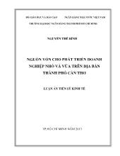 Luận án Nguồn vốn cho phát triển doanh nghiệp nhỏ và vừa trên địa bàn thành phố Cần Thơ