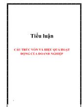 Tiểu luận Cấu trúc vốn và hiệu quả hoạt động của doanh nghiệp