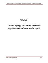 Tiểu luận Doanh nghiệp nhà nước và Doanh nghiệp có vốn đầu tư nước ngoài