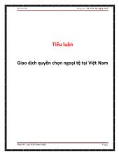 Tiểu luận Giao dịch quyền chọn ngoại tệ tại Việt Nam