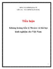 Tiểu luận Khủng hoảng tiền tệ Mexico và bài học kinh nghiệm cho Việt Nam