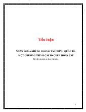 Tiểu luận Ngăn ngừa khủng hoảng tài chính quốc tế, một chương trình cải tổ chủa hoàn tất