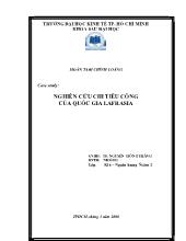Tiểu luận Nghiên cứu chi tiêu công của quốc gia lafrasia