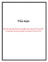 Tiểu luận Phân tích Ngân hàng Thương mại cổ phần Ngoại Thương Việt Nam (VCB), và Ngân hàng Thương mại cổ phần Công Thương Việt Nam (CTG)