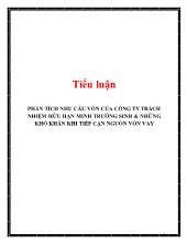 Tiểu luận Phân tích nhu cầu vốn của công ty trách nhiệm hữu hạn Minh Trường sinh và những khó khăn khi tiếp cận nguồn vốn vay