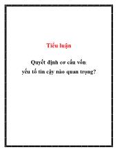 Tiểu luận Quyết định cơ cấu vốn: yếu tố tin cậy nào quan trọng?