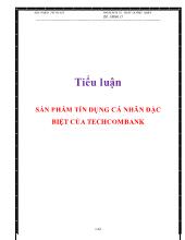 Tiểu luận Sản phẩm tín dụng cá nhân đặc biệt của techcombank