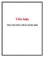 Tiểu luận Thị trường phái sinh 2009