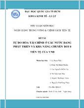 Tiểu luận Tự do hóa tài chính ở các nước đang phát triển và khả năng chuyển đổi 0 tiền tệ của vnđ