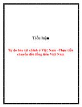 Tiểu luận Tự do hóa tài chính ở Việt Nam –Thực tiễn chuyển đổi đồng tiền Việt Nam